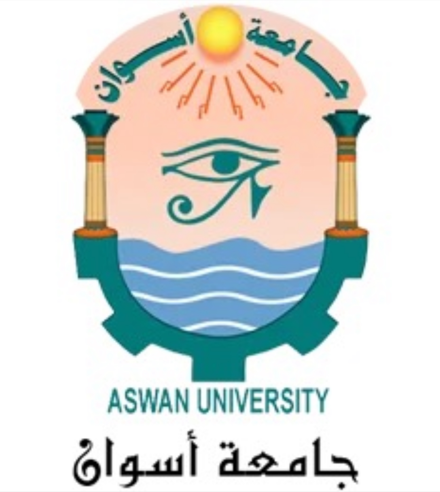 Aswan University